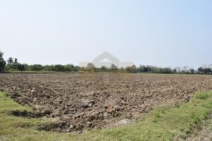 ที่ดินราชบุรี