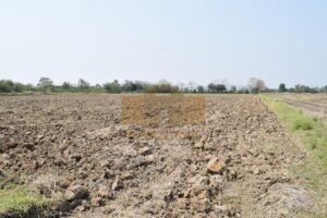 ที่ดินราชบุรี