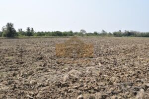 ที่ดินราชบุรี