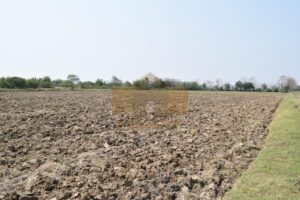 ที่ดินราชบุรี