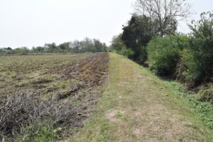 ที่ดินราชบุรี