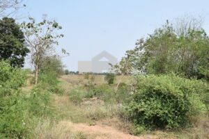 ที่ดินราชบุรี