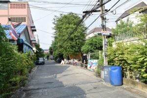 ที่ดินสำโรง